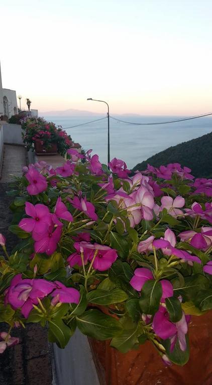 克里斯蒂娜露台住宿加早餐旅馆 Vietri 外观 照片