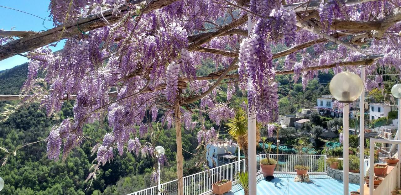 克里斯蒂娜露台住宿加早餐旅馆 Vietri 外观 照片